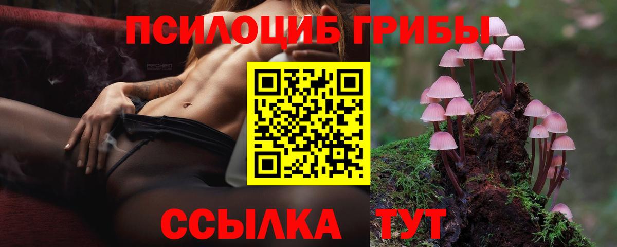 Галлюциногенные грибы MAGIC MUSHROOMS Нальчик